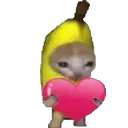 0_bananacat_happy