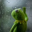 kermit_sad