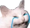 catcry