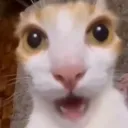 surprised