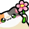 flowercat