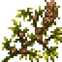 delta9Plant
