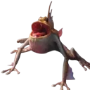 Parrotfrog Parrotfrog