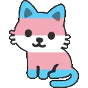transcat_nyoom transcat_nyoom