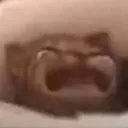 Waaa