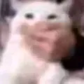help