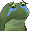 Frog Cry FrogCry Discord Emoji