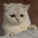 z__ custom emote | Lemniscate Network