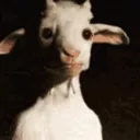 zzeegoatedz