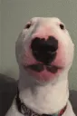 emoji_14