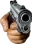 Gun