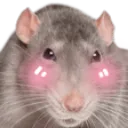 ratblush ratblush