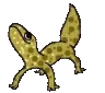 geckodance