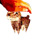 petthecat