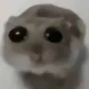 Vsadhamter Vsadhamter