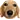 dogblink dogblink