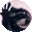 pedroJam