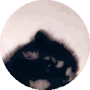 PEDROPEDROPEDRO