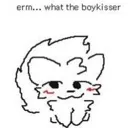 ermwhatthebk