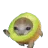 :5_kiwicatrun: 5_kiwicatrun