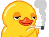 classicduck