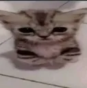 val_HelloBro val_HelloBro