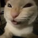 NYEEEHHHEEEEEEEEEEEEEEE