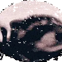 RACOON