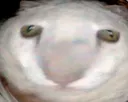 __