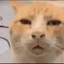 guh