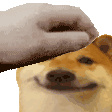 pet_doge Discord Emoji