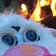 FurbyFire FurbyFire