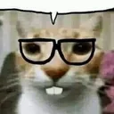 nerdkat nerdkat