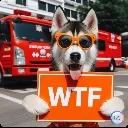 HuskyWtf