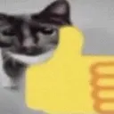 catthumbsup catthumbsup