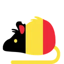 rat_Belgium