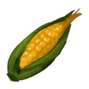 pG_Corn