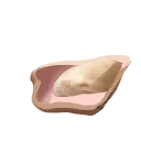 pG_Oyster_Meat