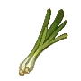 pG_Wild_Green_Onion