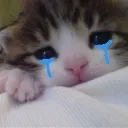 cat_crying3