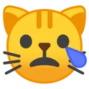 cat_cry