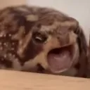 AAAAAAA