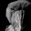 1000yardstare