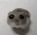 IzuTriste