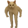 catstand