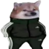Gkeks