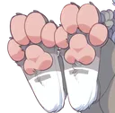 paw