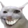 XDcat