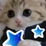 10smartcatanki