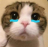lucky_sob Discord emoji